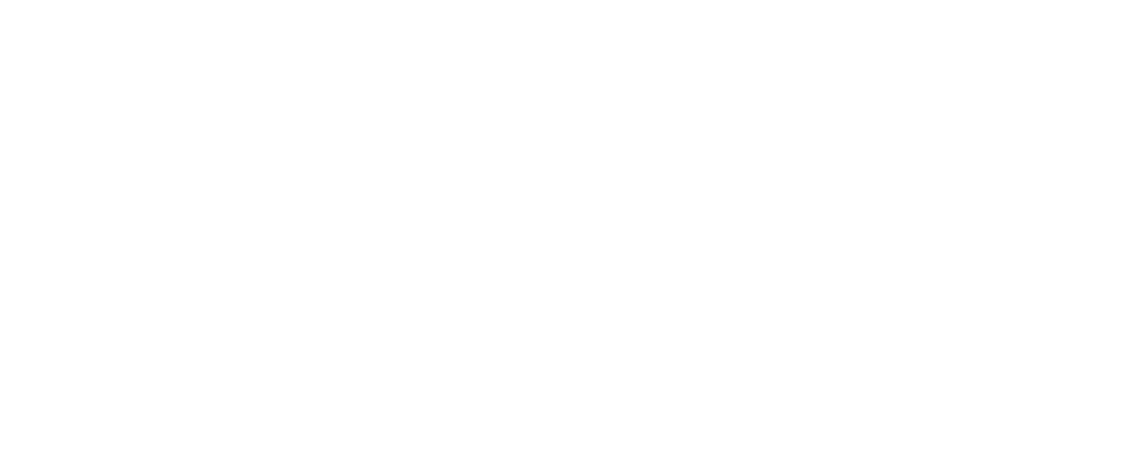 Flinkit Logo weiß